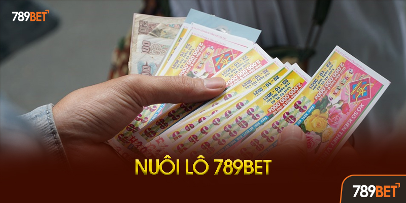 Kinh Nghiệm Nuôi Lô Theo Từng Miền